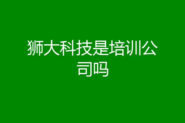 狮大科技是培训公司吗