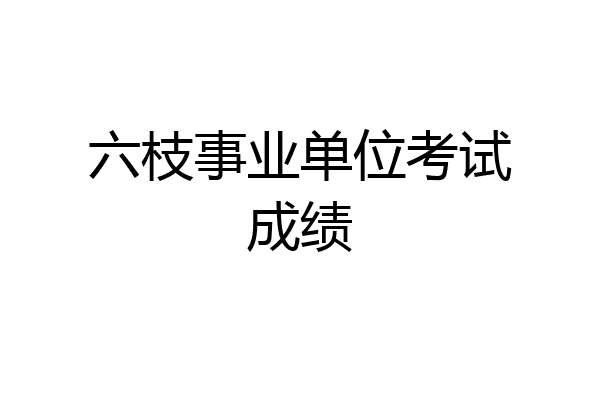六枝事业单位考试成绩