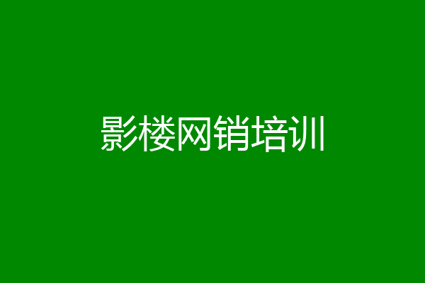 影楼网销培训