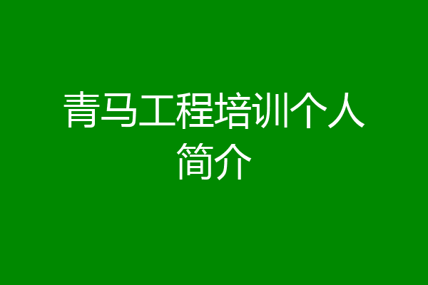 青马工程培训个人简介