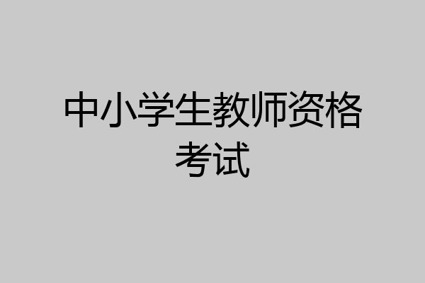 中小学生教师资格考试