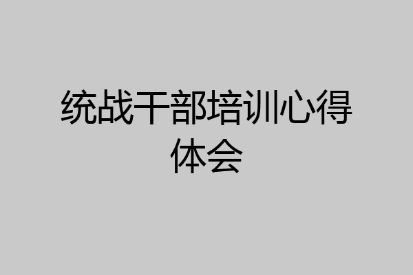 统战干部培训心得体会