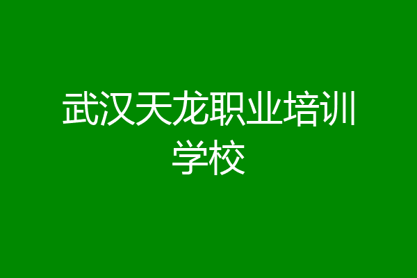 武汉天龙职业培训学校