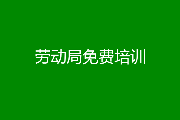 劳动局免费培训