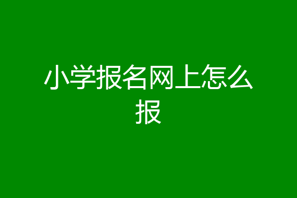 小学报名网上怎么报
