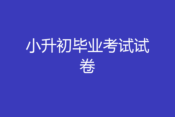 小升初毕业考试试卷