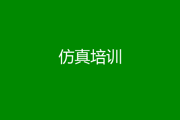 仿真培训