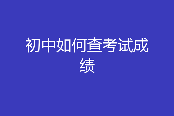 初中如何查考试成绩
