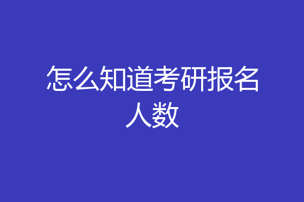 怎么知道考研报名人数
