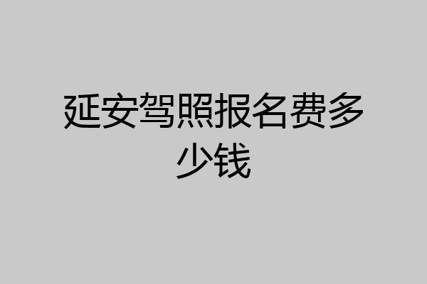 延安驾照报名费多少钱