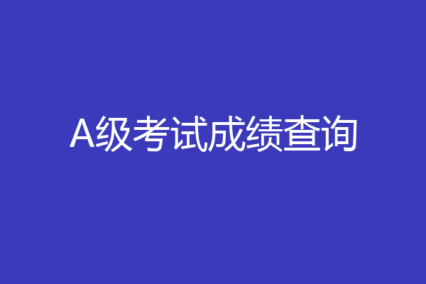 A级考试成绩查询
