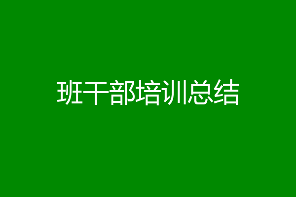 班干部培训总结