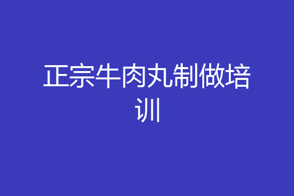 正宗牛肉丸制做培训
