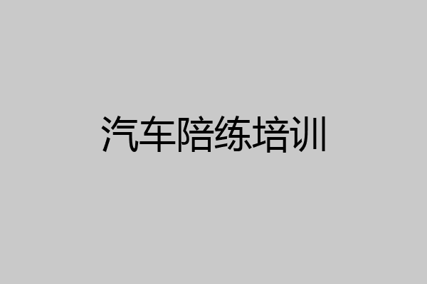 汽车陪练培训