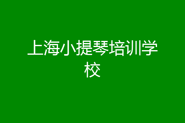 上海小提琴培训学校
