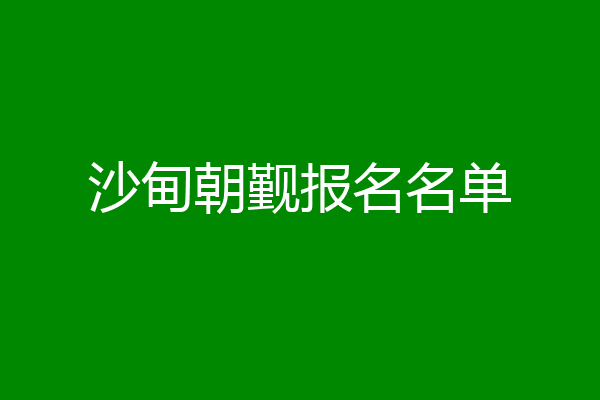 沙甸朝觐报名名单