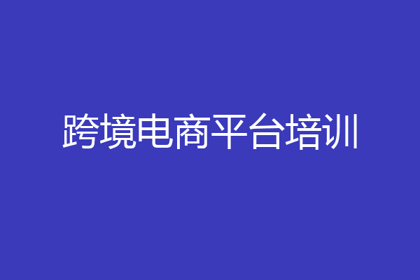 跨境电商平台培训