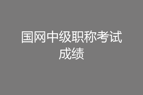 国网中级职称考试成绩