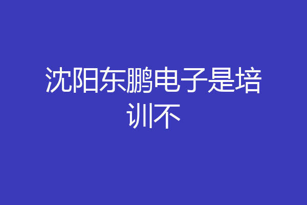 沈阳东鹏电子是培训不