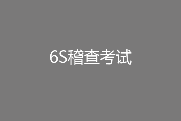 6S稽查考试