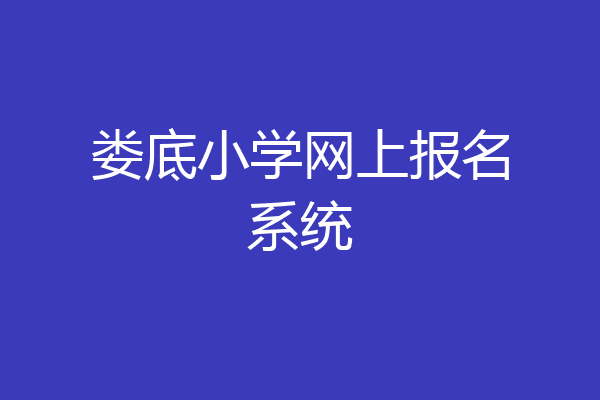 娄底小学网上报名系统