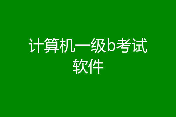 计算机一级b考试软件