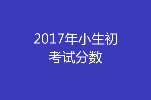 2017年小生初考试分数