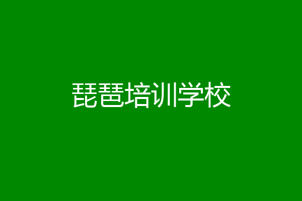 琵琶培训学校