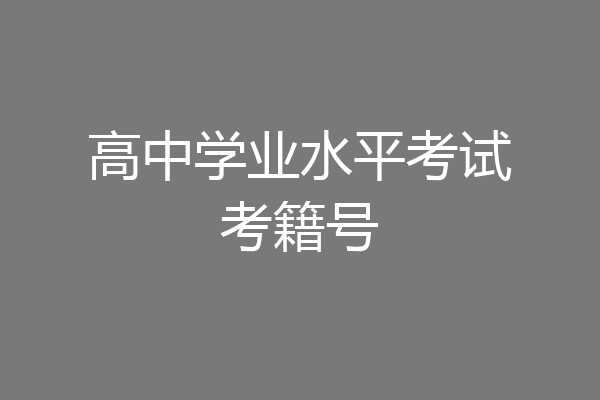 高中学业水平考试考籍号