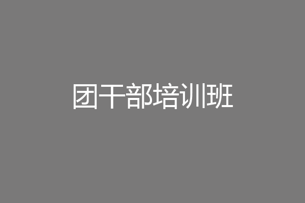 团干部培训班