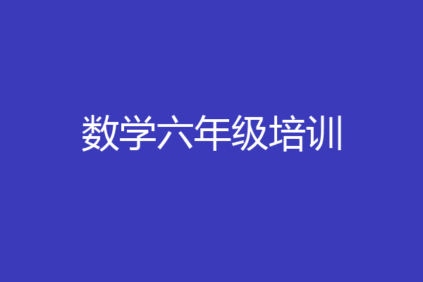 数学六年级培训