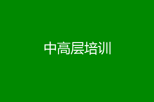 中高层培训