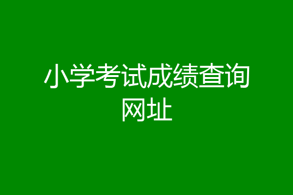 小学考试成绩查询网址