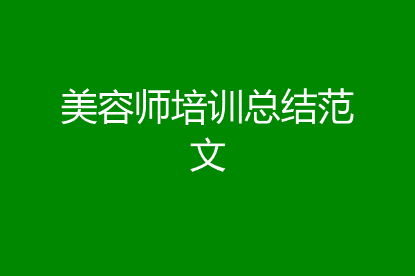 美容师培训总结范文