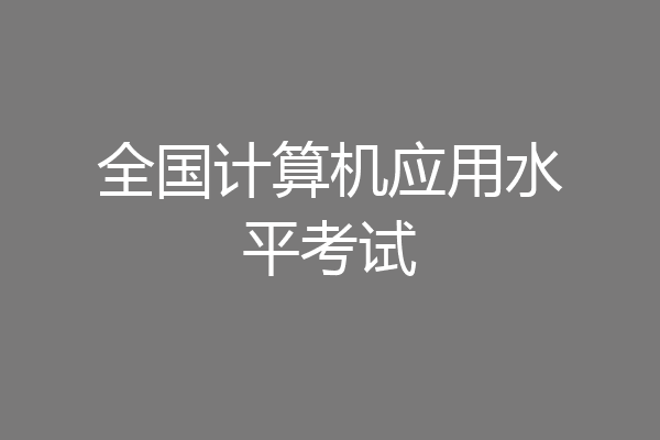 全国计算机应用水平考试