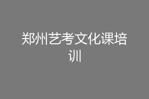 郑州艺考文化课培训