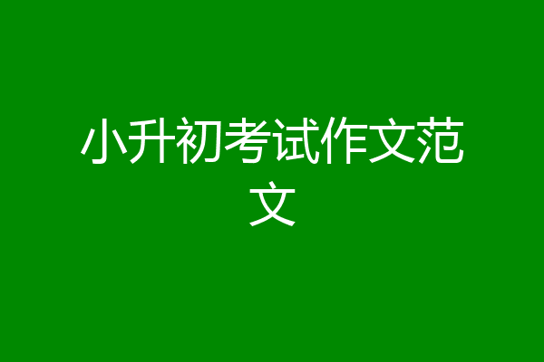小升初考试作文范文