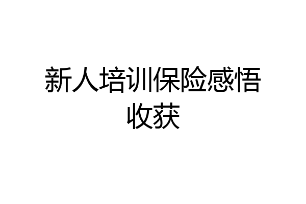 新人培训保险感悟收获