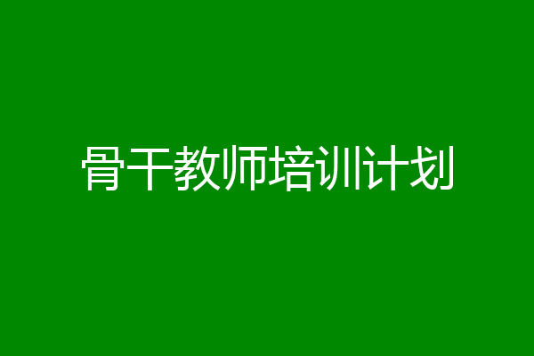 骨干教师培训计划