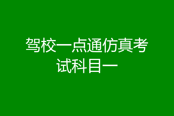 驾校一点通仿真考试科目一