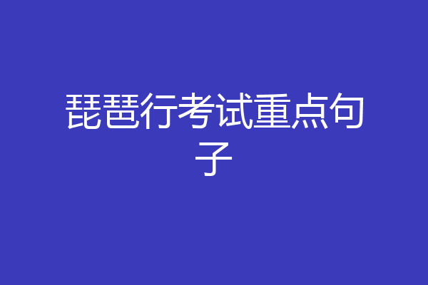 琵琶行考试重点句子