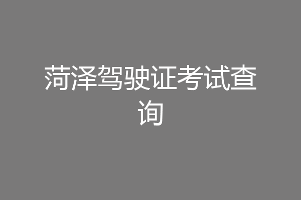 菏泽驾驶证考试查询