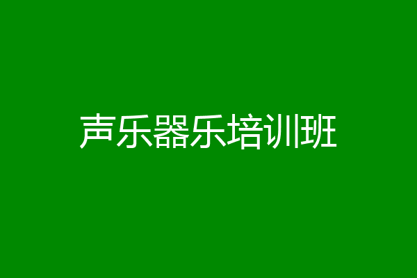 声乐器乐培训班