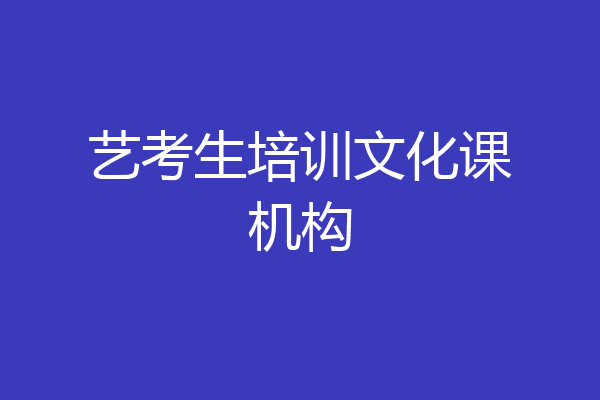 艺考生培训文化课机构