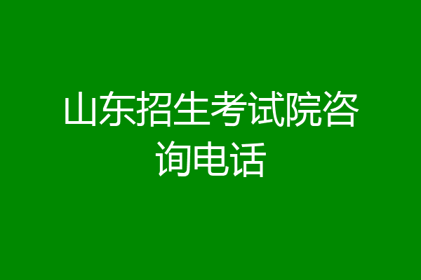山东招生考试院咨询电话