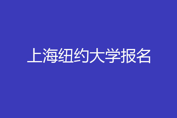 上海纽约大学报名