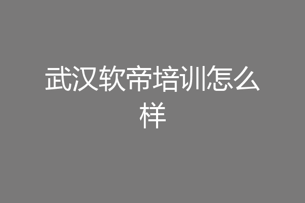 武汉软帝培训怎么样