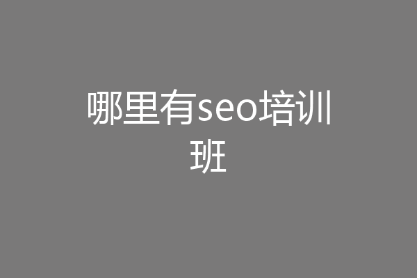哪里有seo培训班