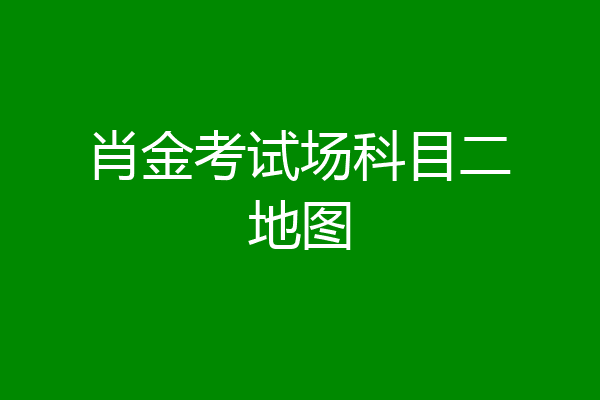 肖金考试场科目二地图