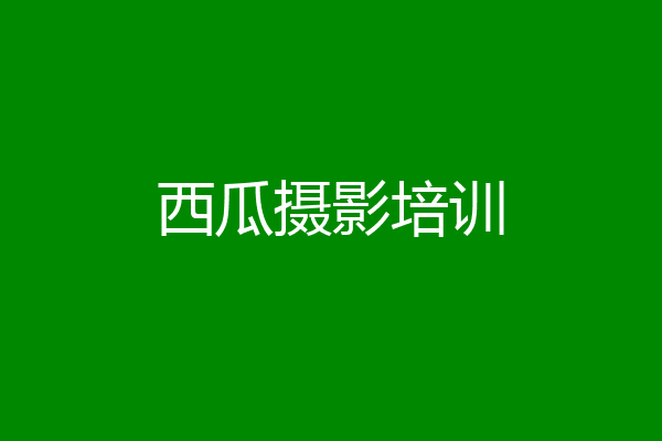 西瓜摄影培训